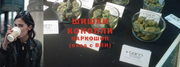 spice Бородино