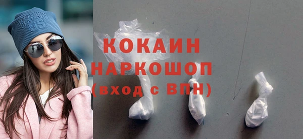 spice Бородино