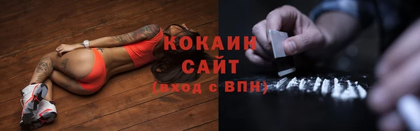 spice Бородино