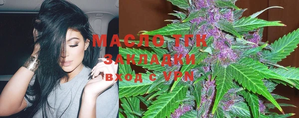 spice Бородино