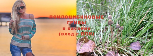 гидропоника Бронницы