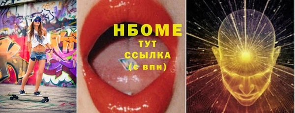 spice Бородино