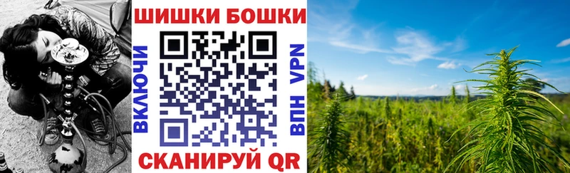 Шишки марихуана THC 21%  Киселёвск 